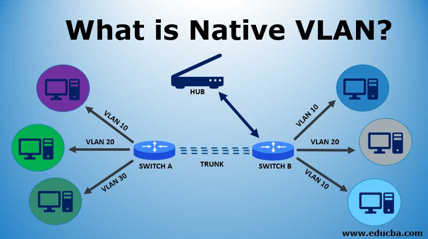 Vlan 01